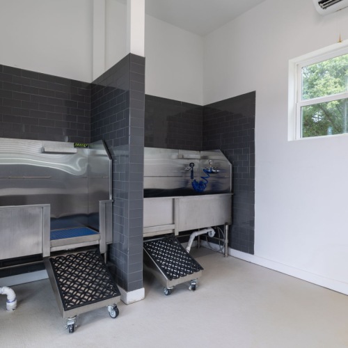 a pet grooming station