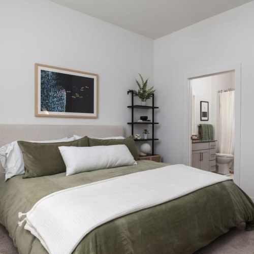 a bedroom with a bed and shelves