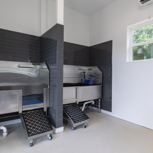 pet wash station with windows